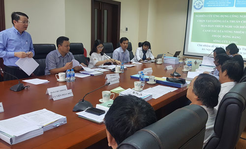 Nhà khoa học Việt tạo giống lúa chống stress