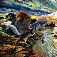 Giải mã hóa thạch chim phát hiện ra loài chưa từng biết đến trên Trái đất