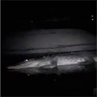 Ngư dân bị cả trăm con cá sấu bao vây trong đêm tối