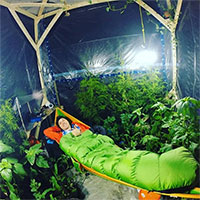 Thử sống trong lều kín khí cùng 200 cây xanh để thử nghiệm oxy và cái kết