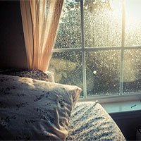 Ánh sáng Mặt trời có thể làm giảm lượng vi khuẩn trong nhà bạn