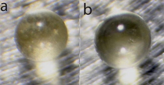 "Thủy tinh thiên thạch" nhặt ở Nam Cực đến từ Việt Nam