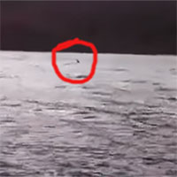 Video: Hình ảnh được cho là quái vật hồ Loch Ness