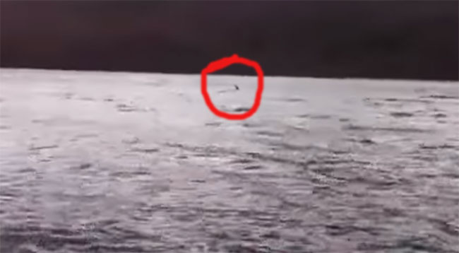 Quái vật hồ Locness