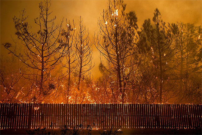44 người chết, cháy rừng ở California chưa bao giờ kinh hoàng đến thế