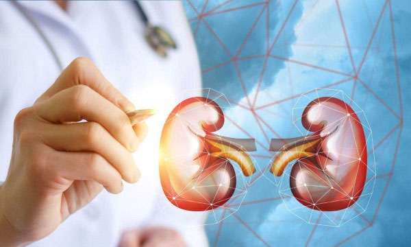 Những điều cần biết về cấy ghép thận