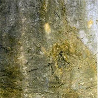 Phát hiện hình vẽ 12.000 năm tuổi có từ Kỷ băng hà