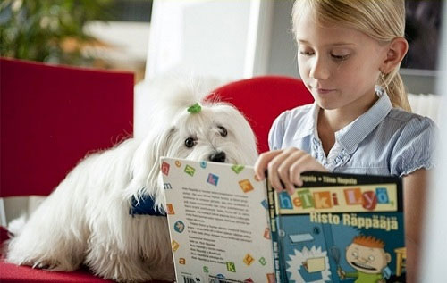 Đây là lý do vì sao Phần Lan có nền giáo dục tốt nhất thế giới