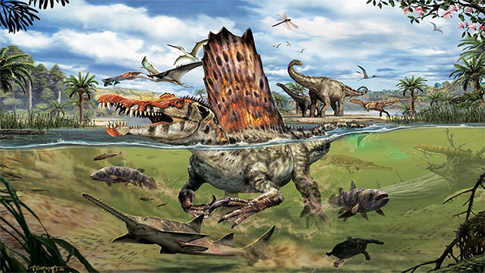 Spinosaurus - loài khủng long kỳ cục: săn cá như thần mà không thể bơi lội!