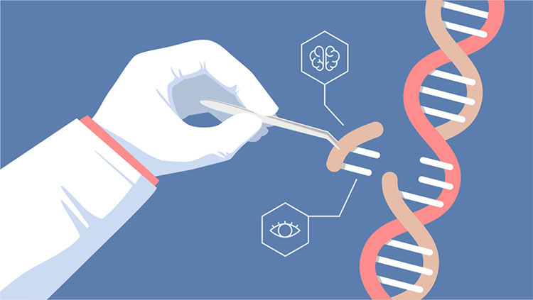 Những tác hại khôn lường từ thí nghiệm chỉnh sửa gene người của nhà khoa học Trung Quốc