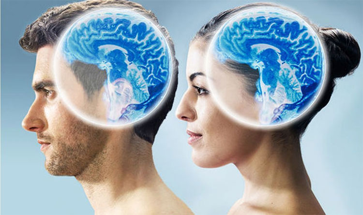 Người có não to sẽ thông minh hơn, nhớ lâu hơn?