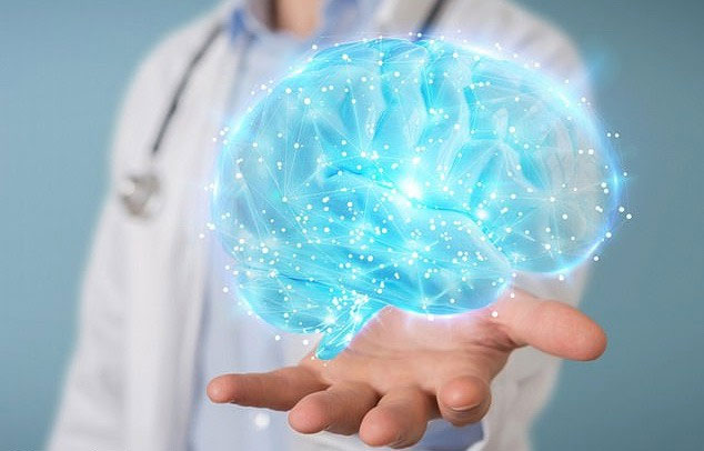 Người có não to sẽ thông minh hơn, nhớ lâu hơn?