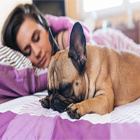 Phụ nữ ngủ ngon hơn khi nằm cạnh cún cưng