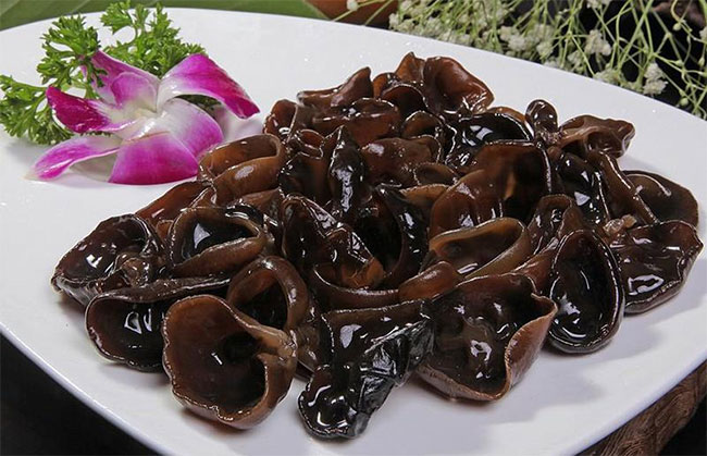 Những thứ chứa chất độc gây ung thư hàng đầu được quốc tế công nhận, nhiều người vẫn dùng