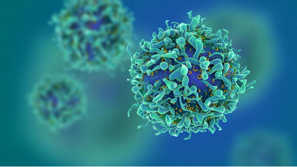 Sau gần 100 năm HIV vẫn ám ảnh nhân loại nhưng tại sao chúng lại khó đối phó đến vậy?
