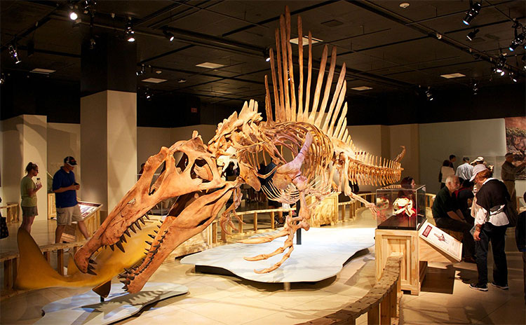 Spinosaurus - Loài khủng long săn mồi cực lớn trên Trái Đất