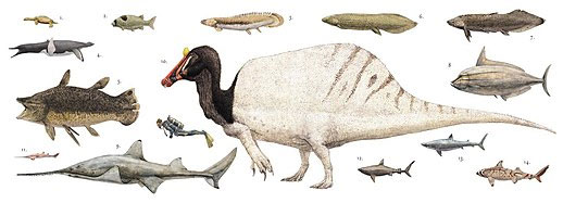 Spinosaurus - Loài khủng long săn mồi cực lớn trên Trái Đất