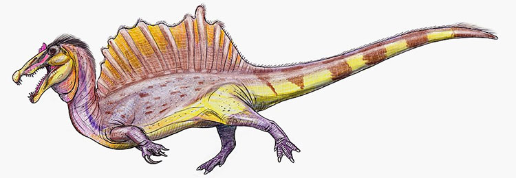 Spinosaurus - Loài khủng long săn mồi cực lớn trên Trái Đất