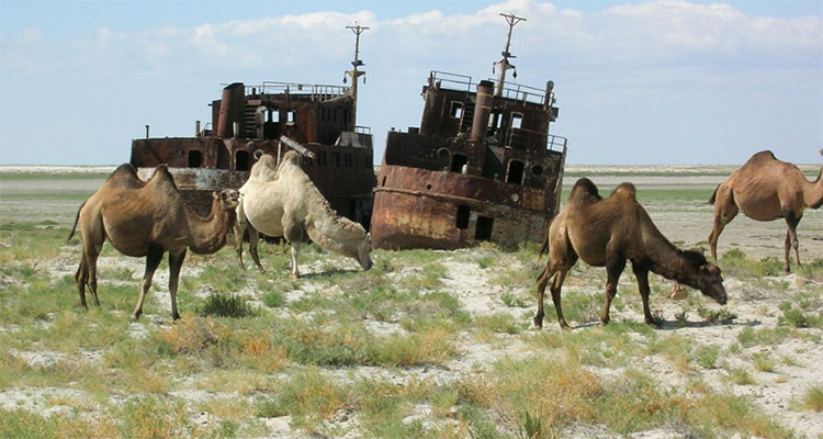 Biển Aral giờ đây chỉ còn là một vùng đất khô cằn.