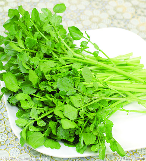 Mùa đông tăng cường ăn cải xoong để đạt được những lợi ích tuyệt vời này!