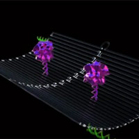 MIT tìm ra cách thu nhỏ vật chất tới cấp độ nano