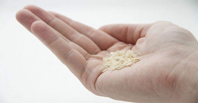 Tin được không: Một startup đang sản xuất protein từ không khí và điện