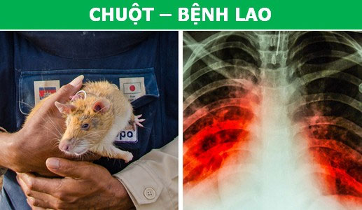 Mối quan hệ của những 