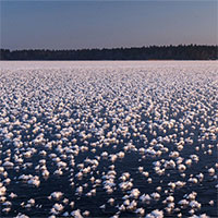 Ngẩn ngơ trước vẻ đẹp "hoa băng" trên mặt hồ xứ sở Bạch Dương