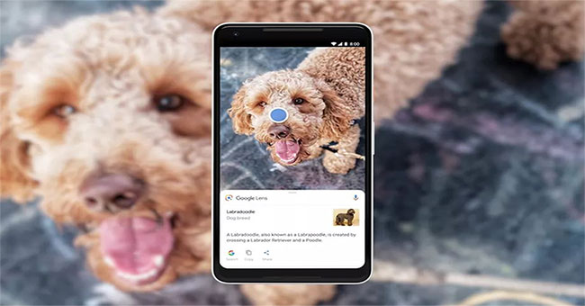Chỉ "tự học" nhưng AI của Google đã nhận diện được hàng tỷ vật thể