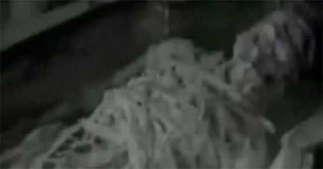 Đặc vụ KGB của Liên Xô từng tìm thấy xác người ngoài hành tinh 13.000 năm tuổi?