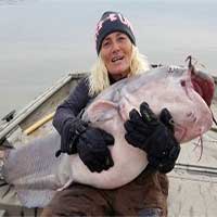 Cá nheo lục nặng 40kg cắn câu ngư dân Mỹ