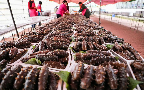 Dưa chuột thì rẻ còn 
