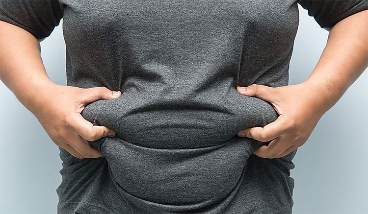 Bụng càng nhiều mỡ, não càng 