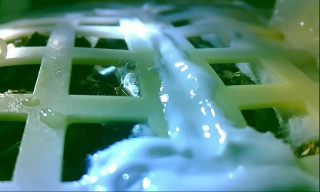 Hạt giống đầu tiên được Trung Quốc mang lên Mặt Trăng nảy mầm ra sao?