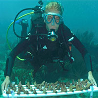 Bong bóng bê tông hứa hẹn giúp phục hồi rạn san hô nhanh hơn