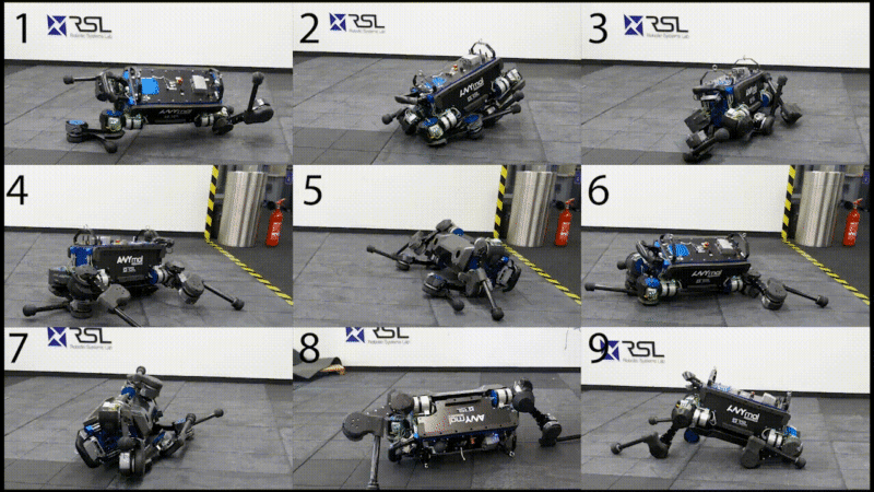 Chó robot của Thụy Sỹ không ngã khi bị người đạp, nếu ngã biết tự lật đứng dậy