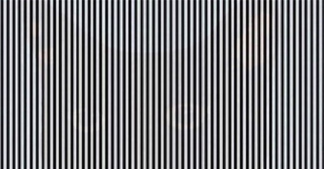 Ẩn sau bức hình này là một bí mật mà bạn phải... lắc đầu cực mạnh mới thấy được