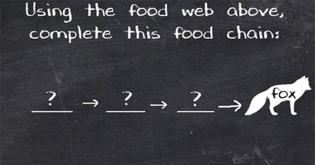 Muốn có cơ hội trở thành vĩ nhân, ít nhất phải trả lời được 7 câu này