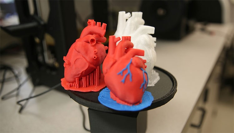 Đây là lý do mà NASA sẽ in 3D nội tạng người trên vũ trụ