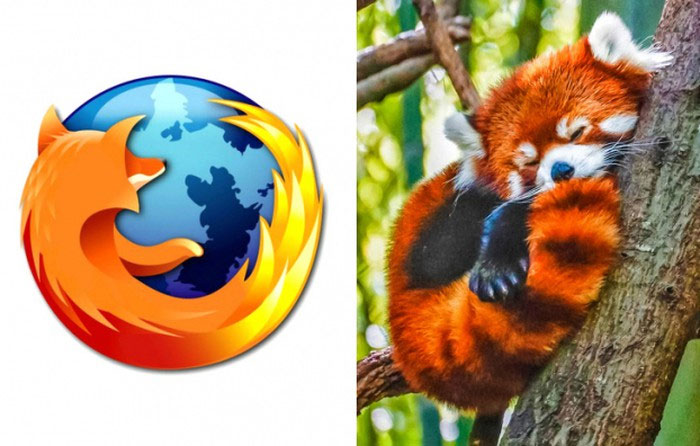 Câu chuyện độc đáo đằng sau những logo động vật