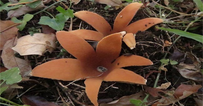 6 hiện tượng bí ẩn dù khoa học phát triển bấy lâu nay mà vẫn chưa giải đáp được