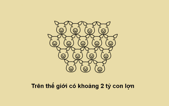 Năm Kỷ Hợi 2019 khám phá 10 sự thật bất ngờ về loài heo