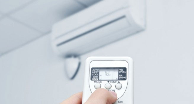 10 quan niệm sai lầm về phòng tránh muỗi: Hóa ra trồng sả có thể phản tác dụng