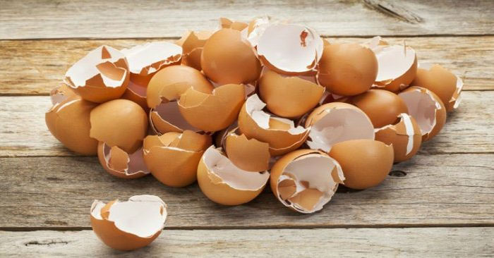 17 tác dụng bất ngờ của vỏ trứng