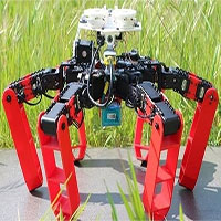 Phát minh loại robot mới có thể di chuyển mà không cần GPS