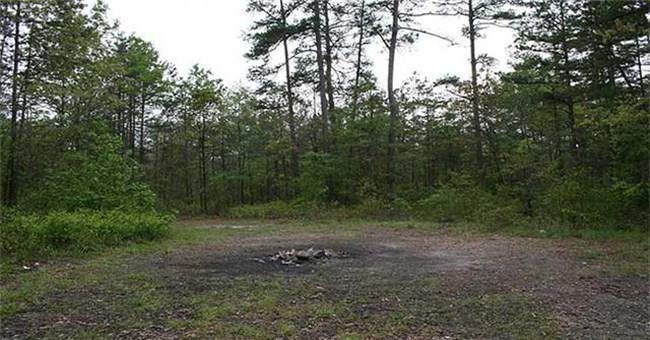 Bí ẩn vòng tròn đất "của quỷ" kỳ lạ, cỏ cũng không thể mọc