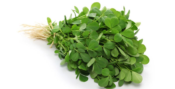 Các loại thực phẩm đắng nhưng tốt cho sức khỏe