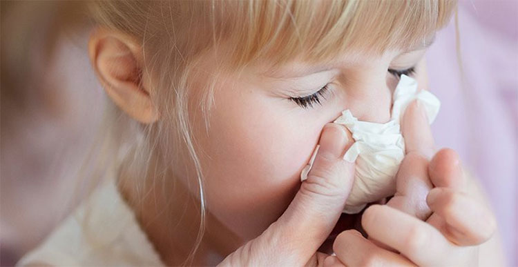 Tin vui của y học: Xuất hiện kháng thể chống lại được tất cả các virus cúm trên đời