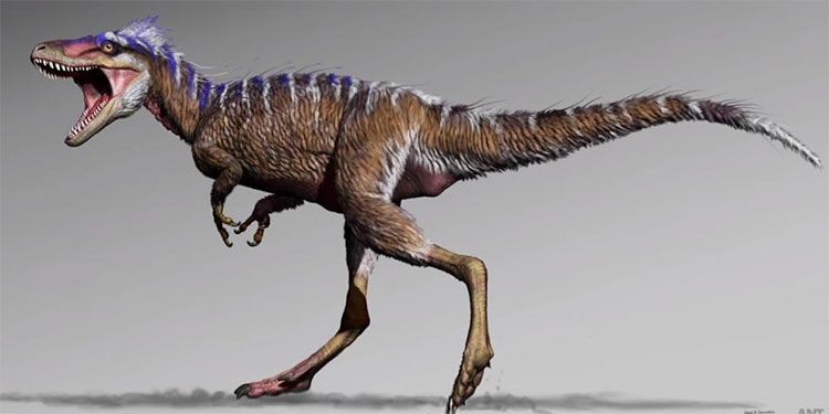 Hóa thạch tiết lộ tổ tiên của “vua các loài khủng long”