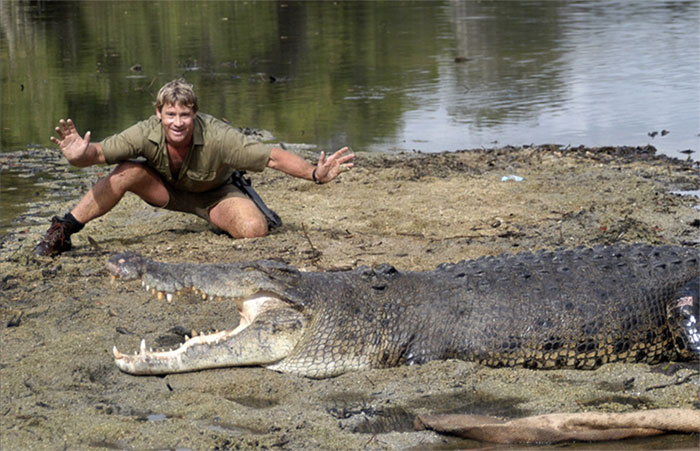 Hình ảnh Stephen Robert Irwin và cá sấu.